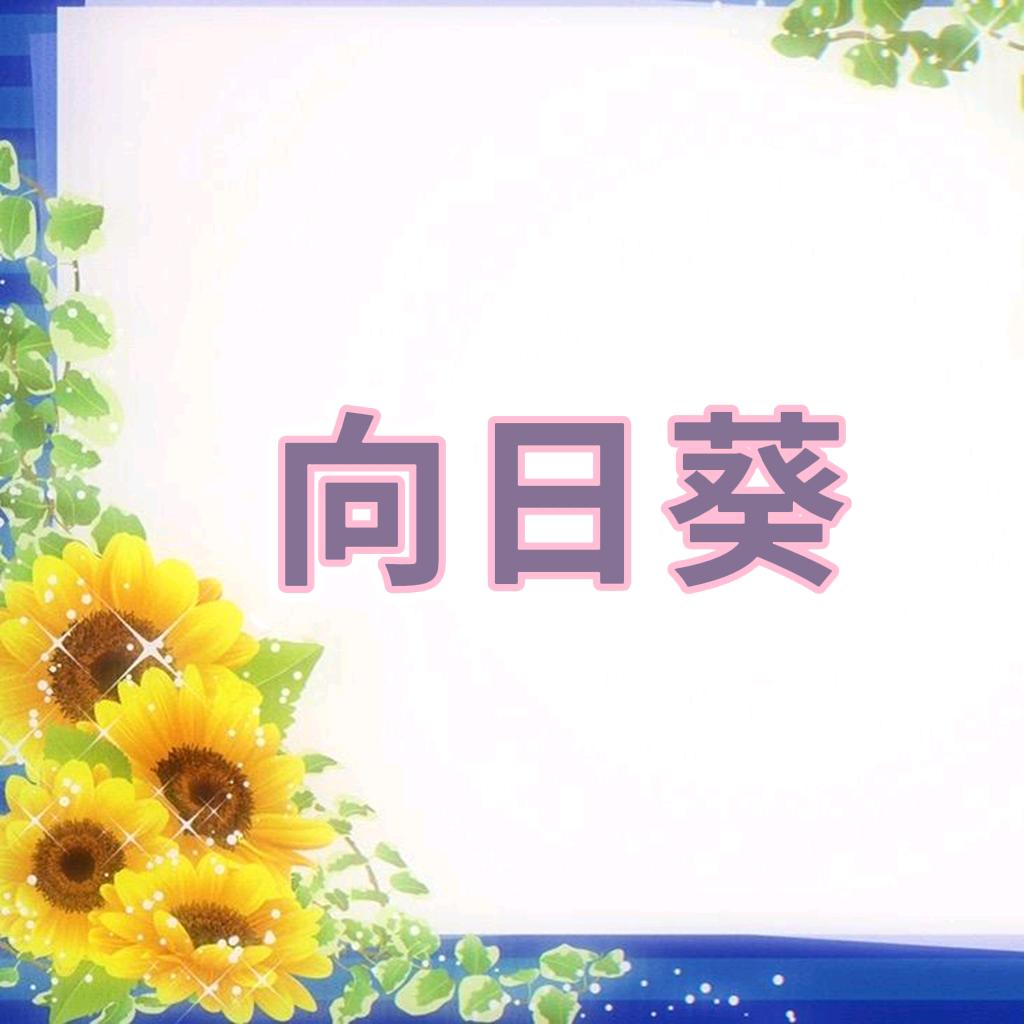 向日葵🌻🌻🌻