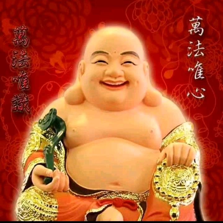 Z非你莫属x