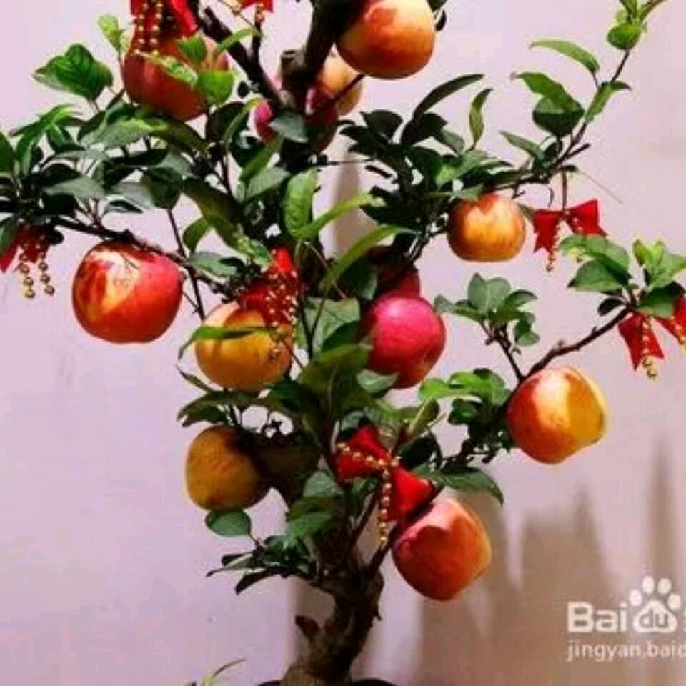 大姐