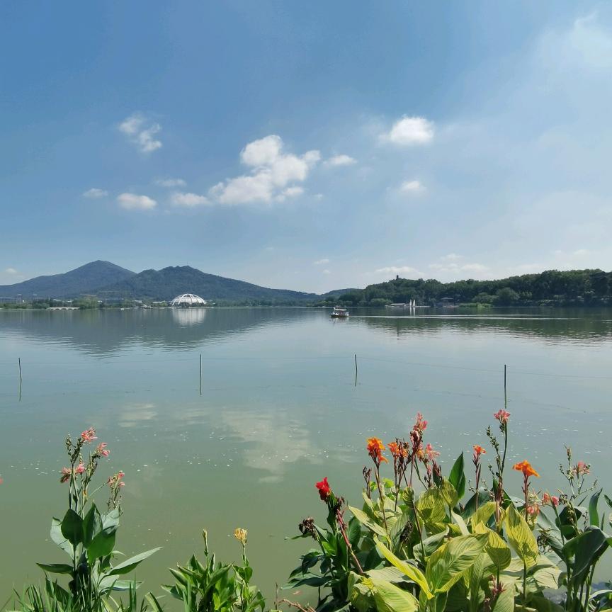 明月踏清风