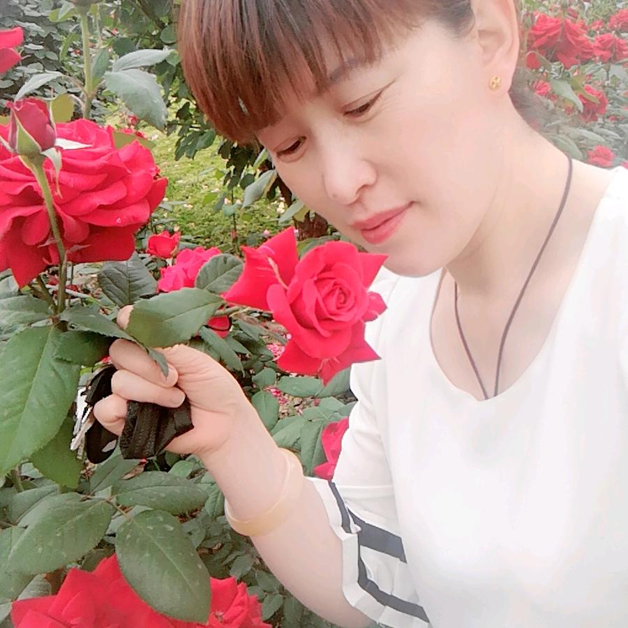 傻妹《晚上8.30开播》