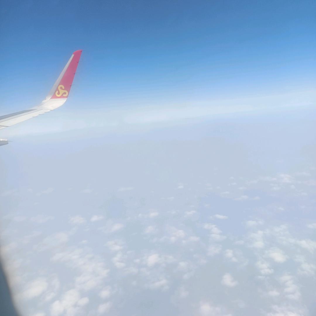 不爱不恨。