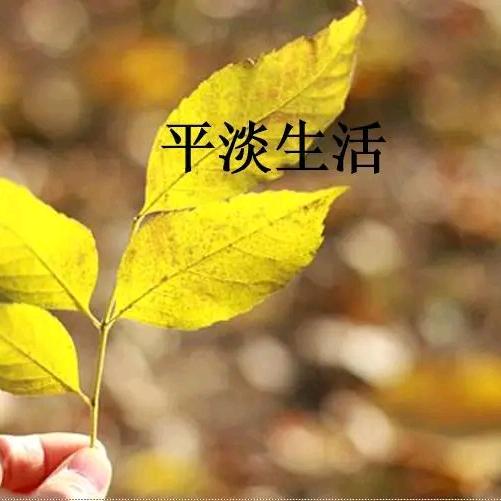 平淡一生