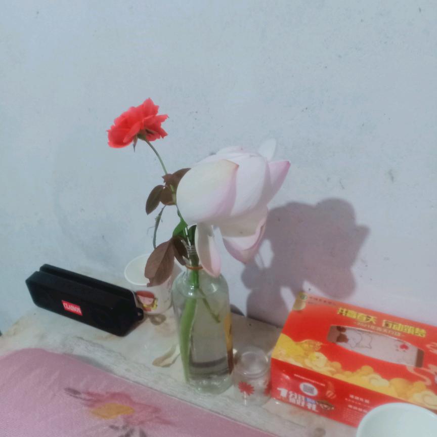 茹