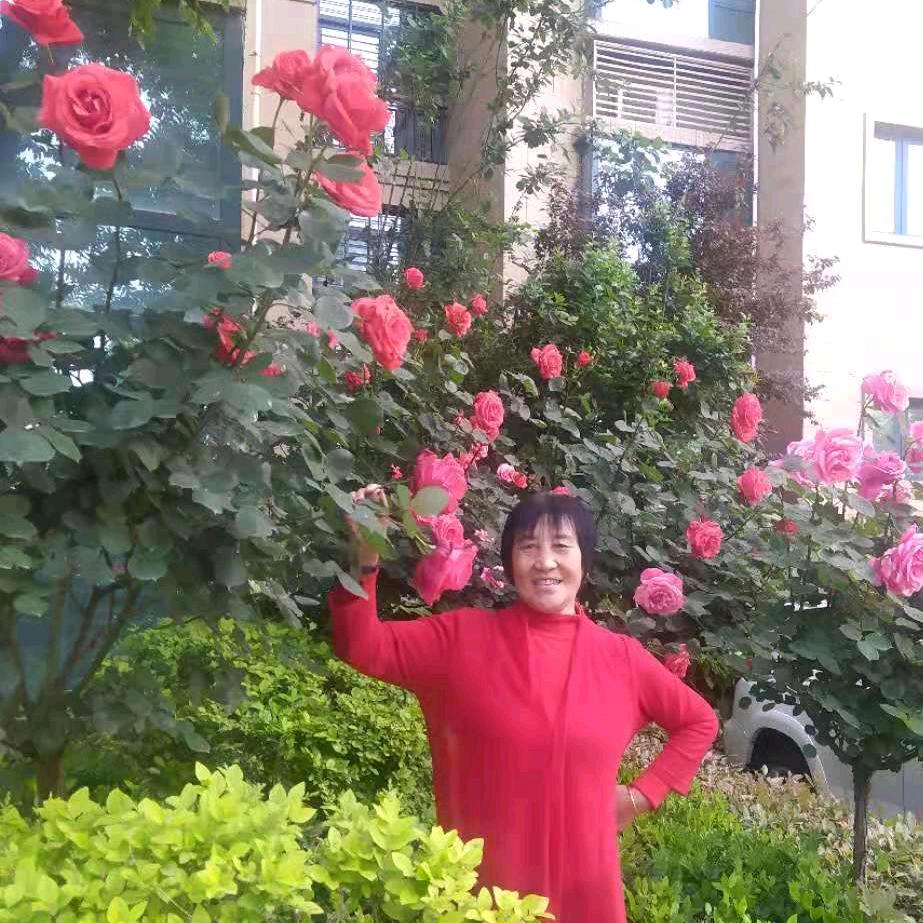 幸福一生🍀