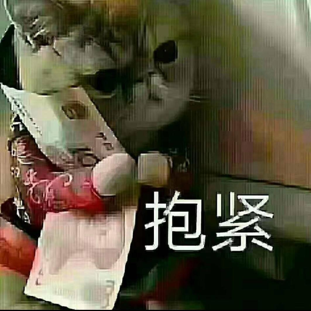 哥不是你的菜