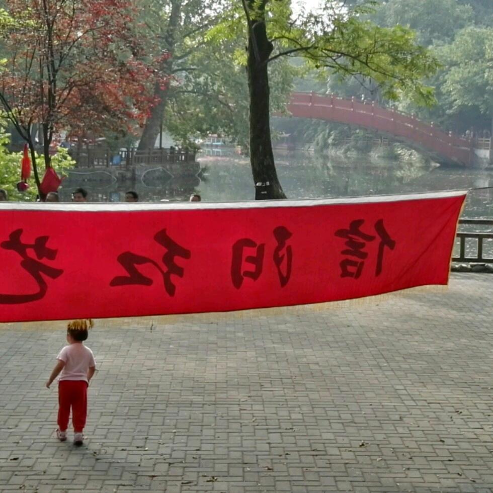 信阳真善美