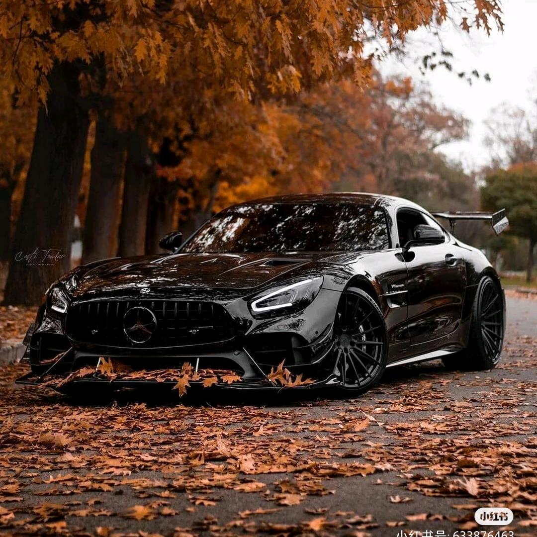 修车养车小知识