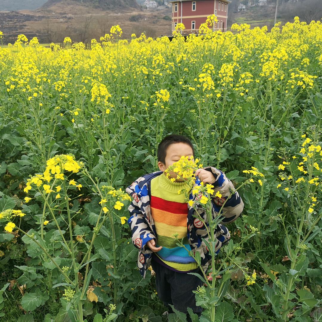 小飞手写