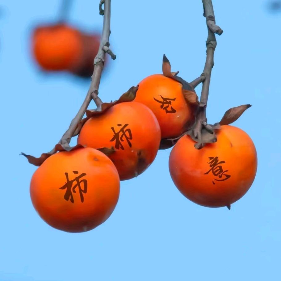 书漫