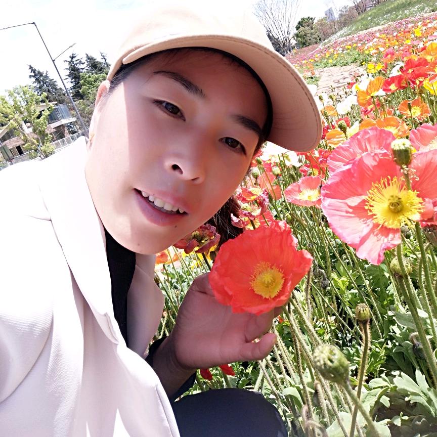 借风吻你