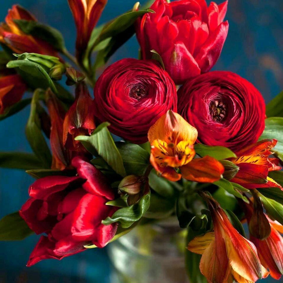 开心每一天👋👋👋