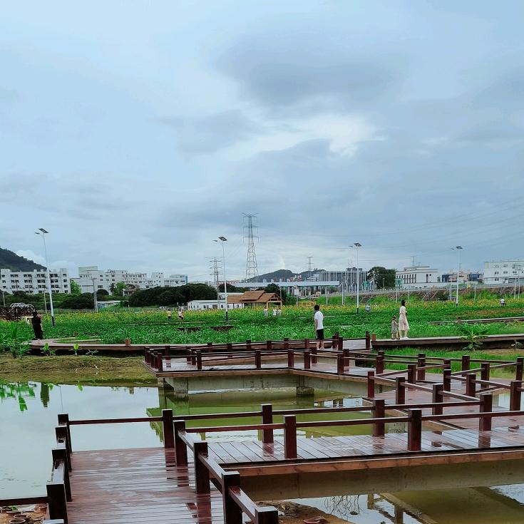 🍀归🌿零🍀