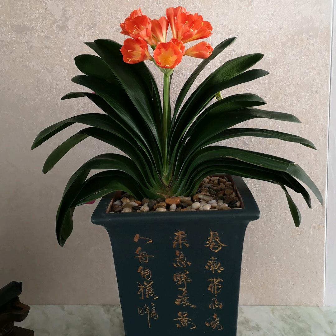 现代