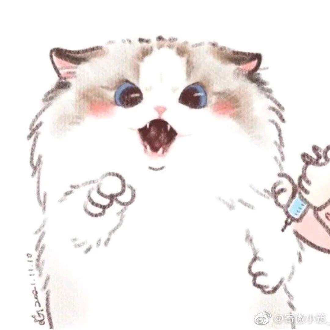333
