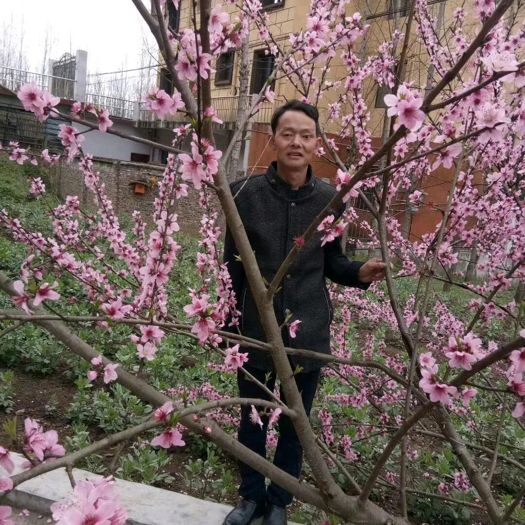 谁在前世约了你