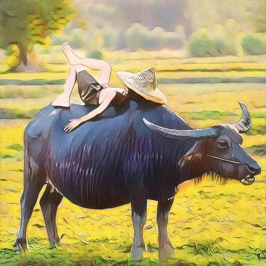 凤凰十里桃园