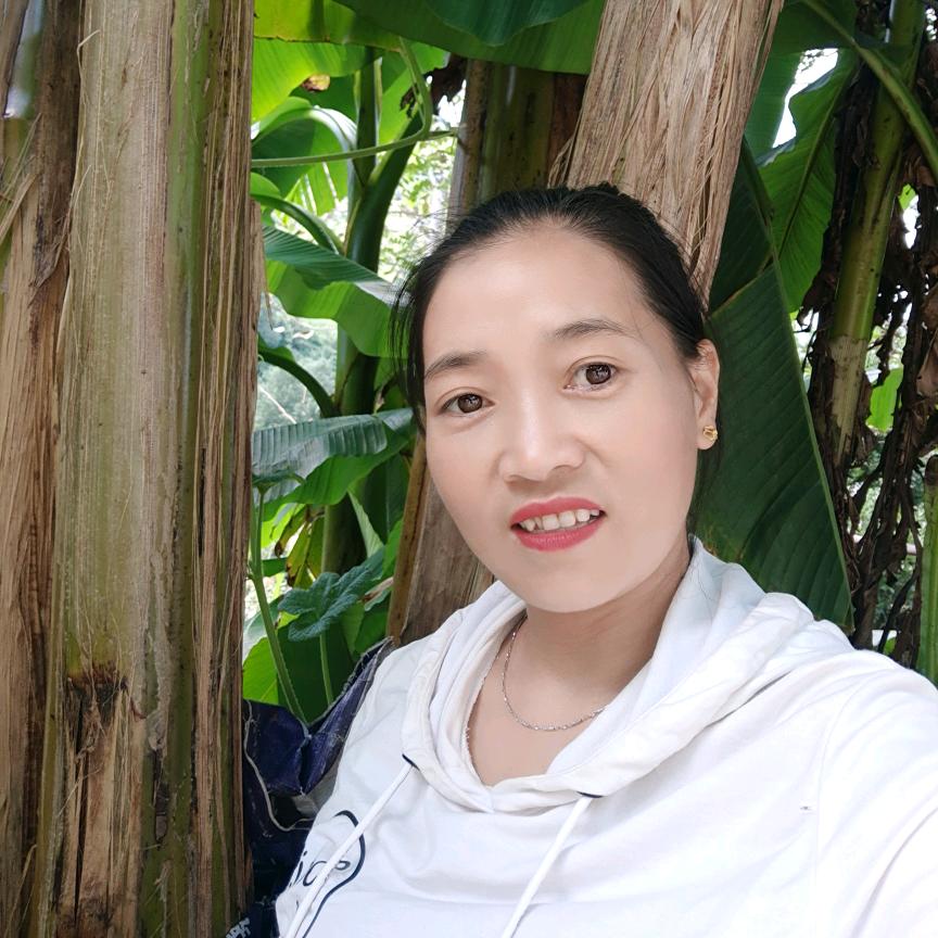 一支梅
