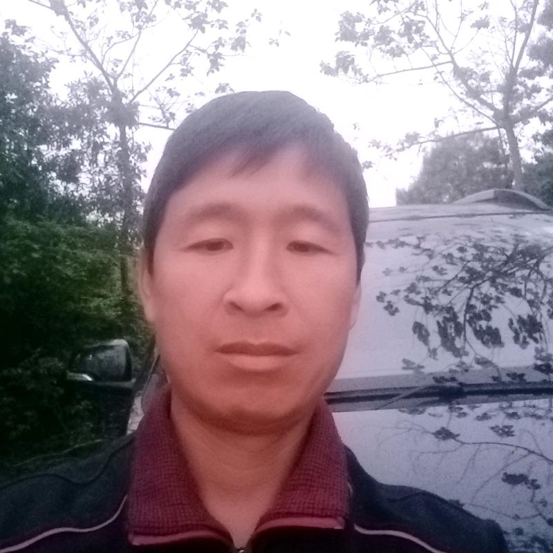 杨氏禽业