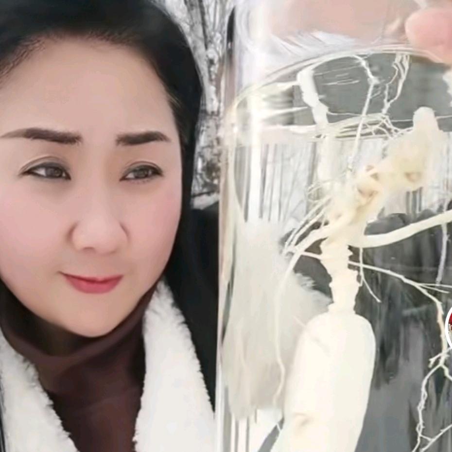 寻山客梅姐特产