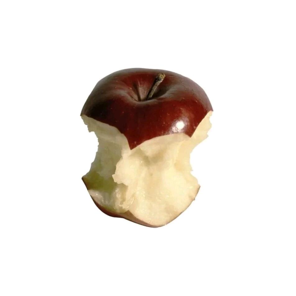 落叶鱼