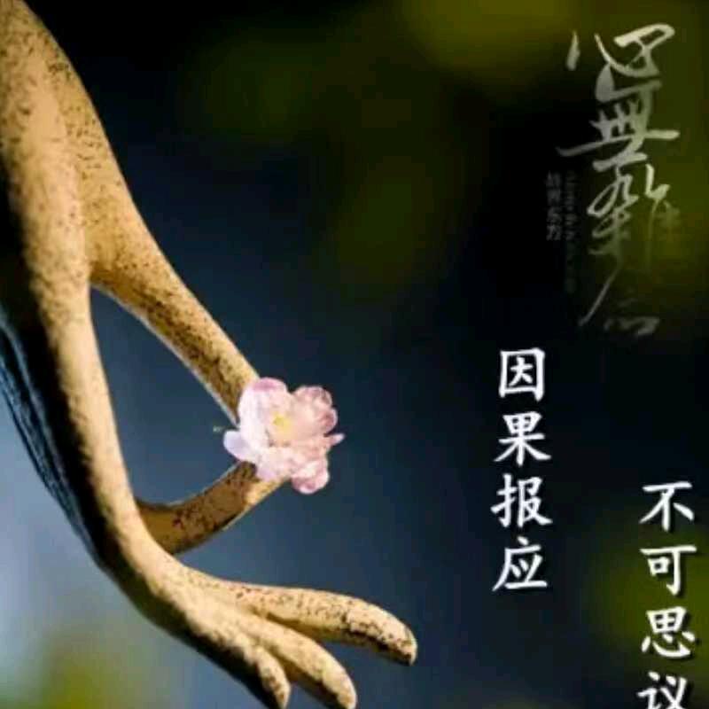 咖啡时光