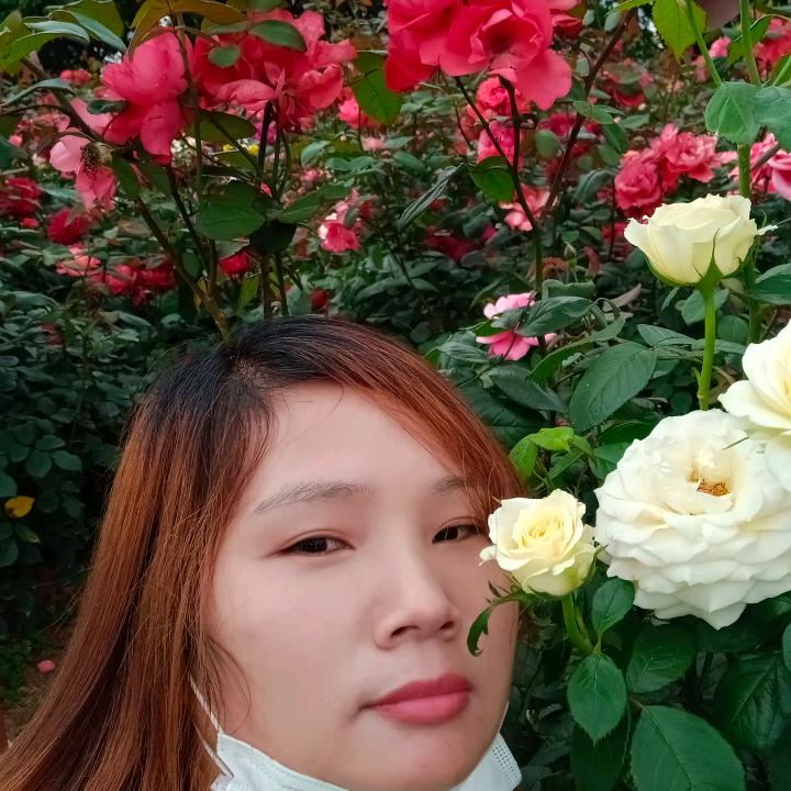 张鱼小丸子