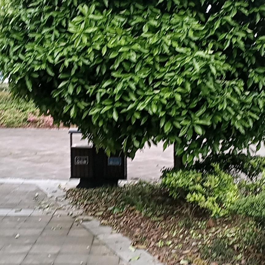 年近花甲