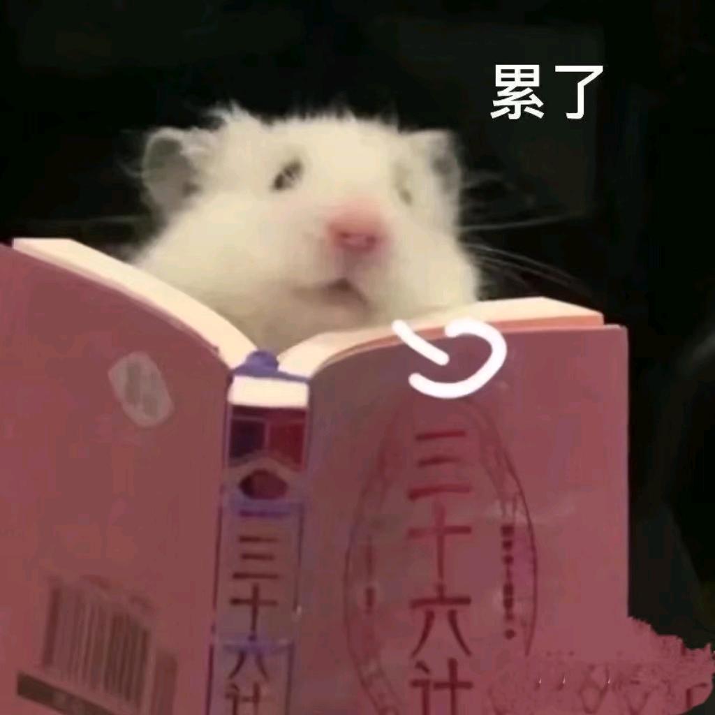 无  恙