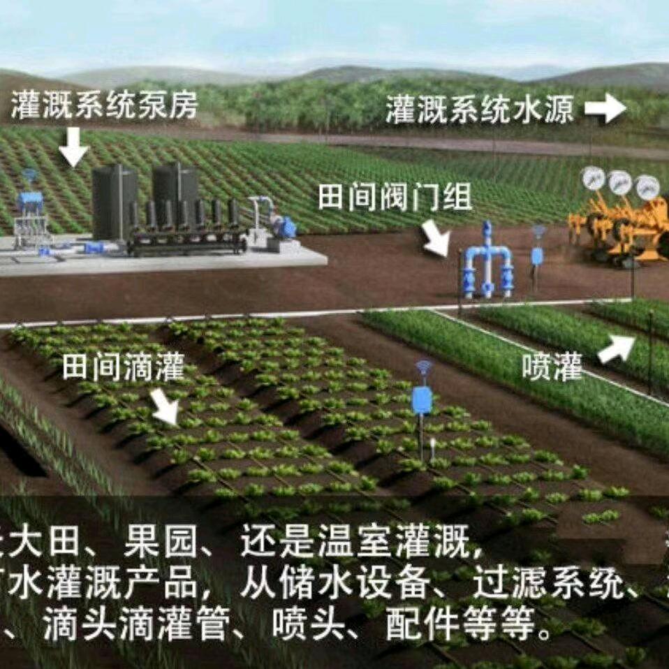 要么习惯要么改变鄢陵龙宇