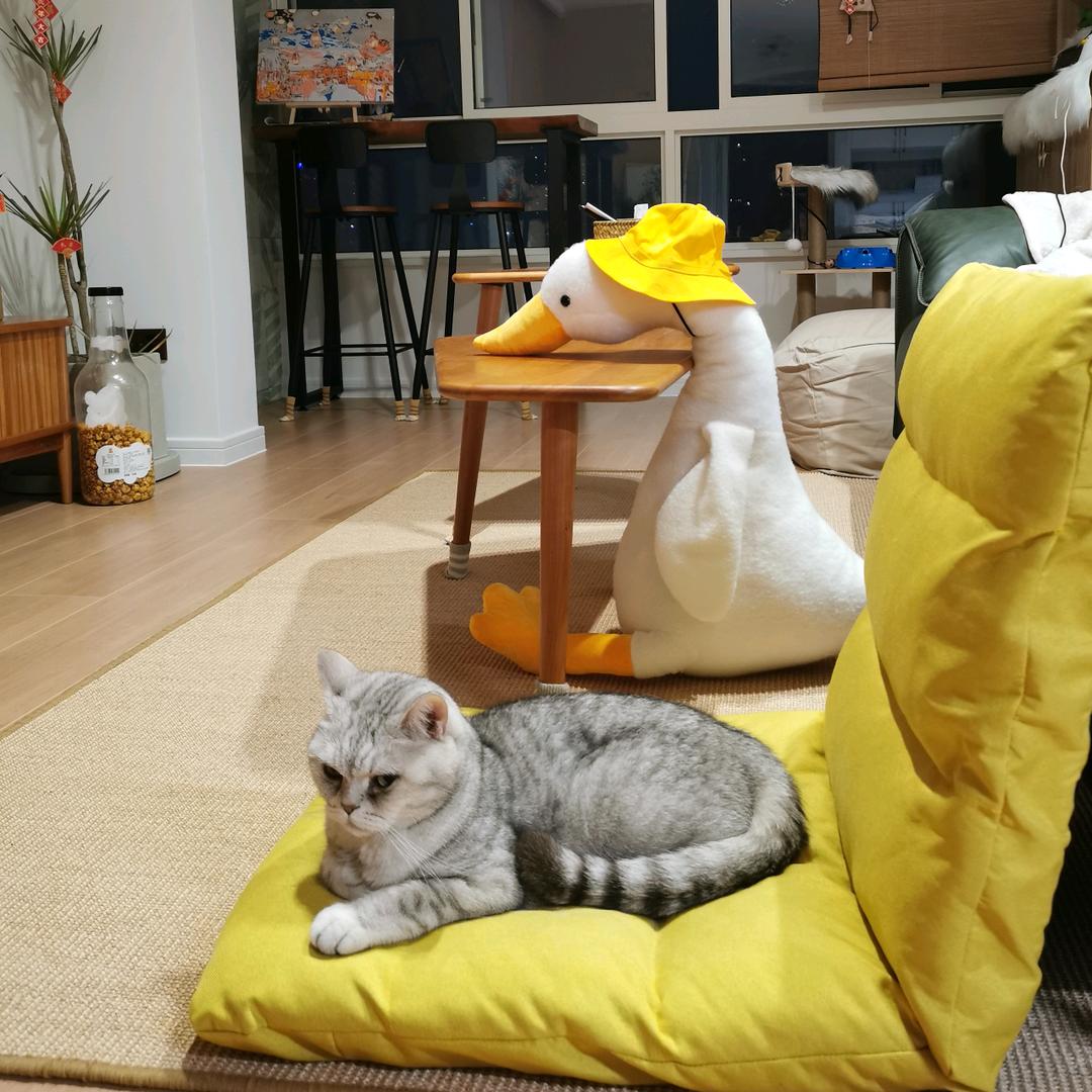简单自在
