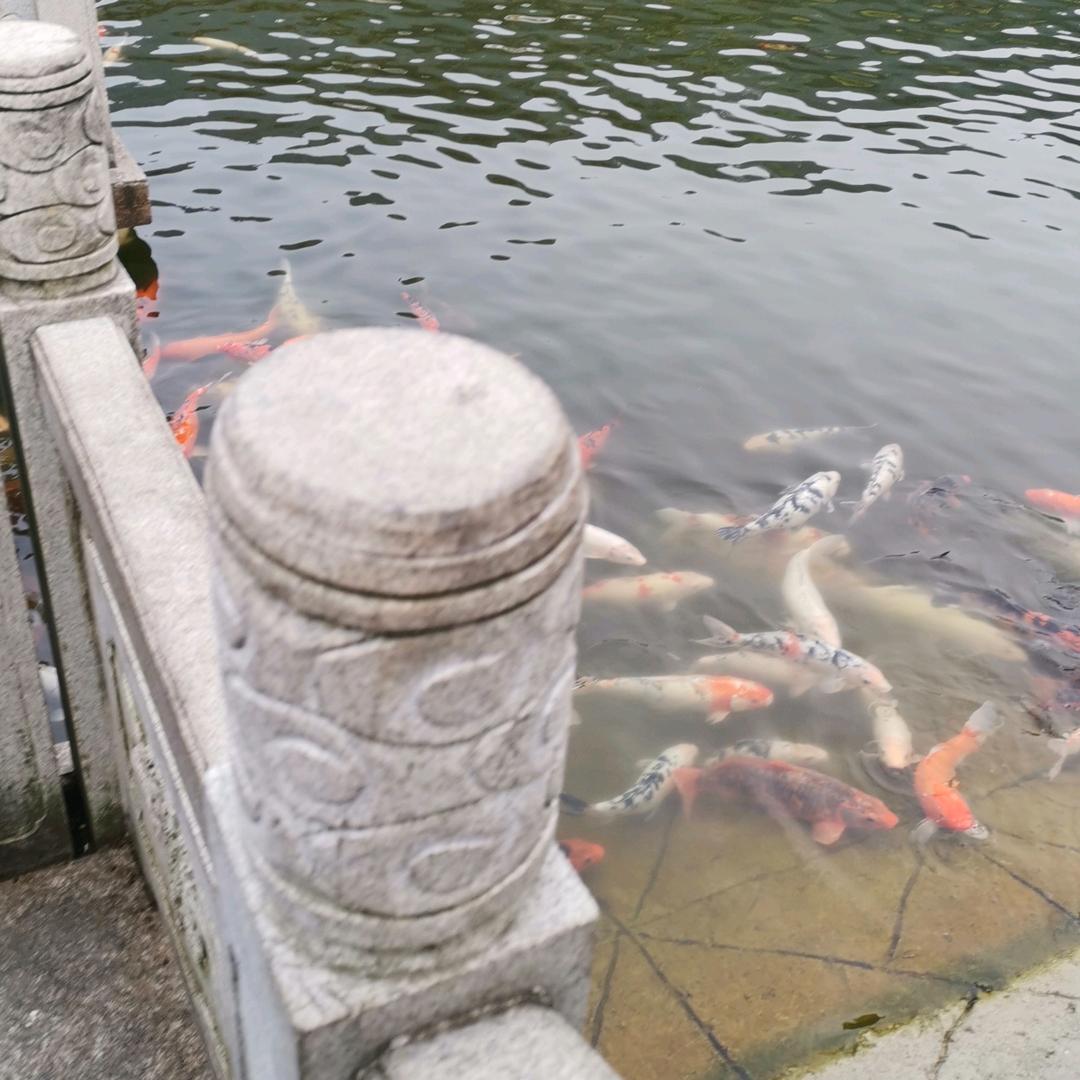 农民木有田