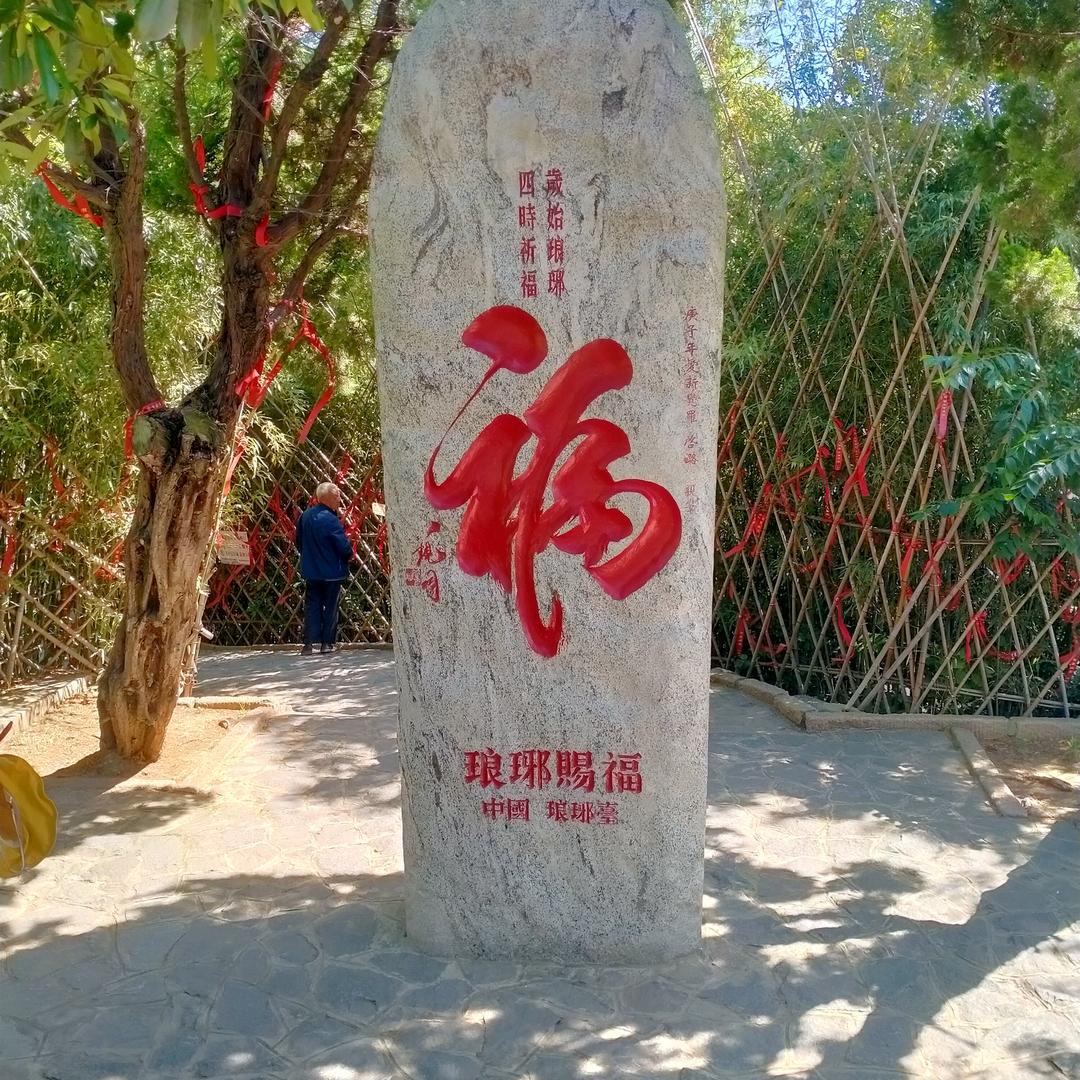 兔宝