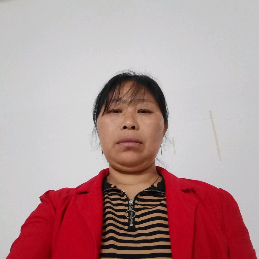 杨大姐，不定时开播