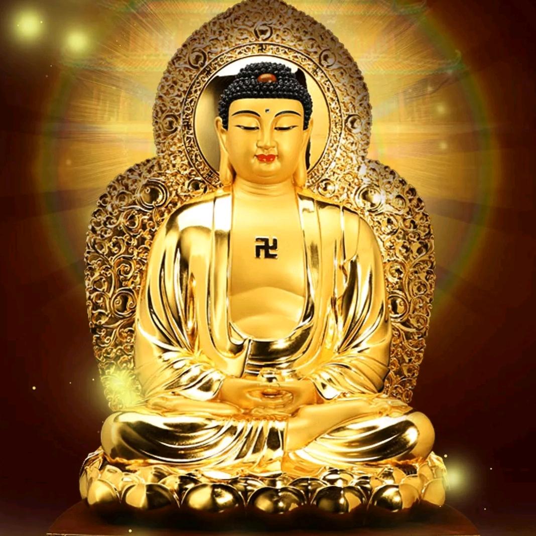 ♀滨海小犇牛♀