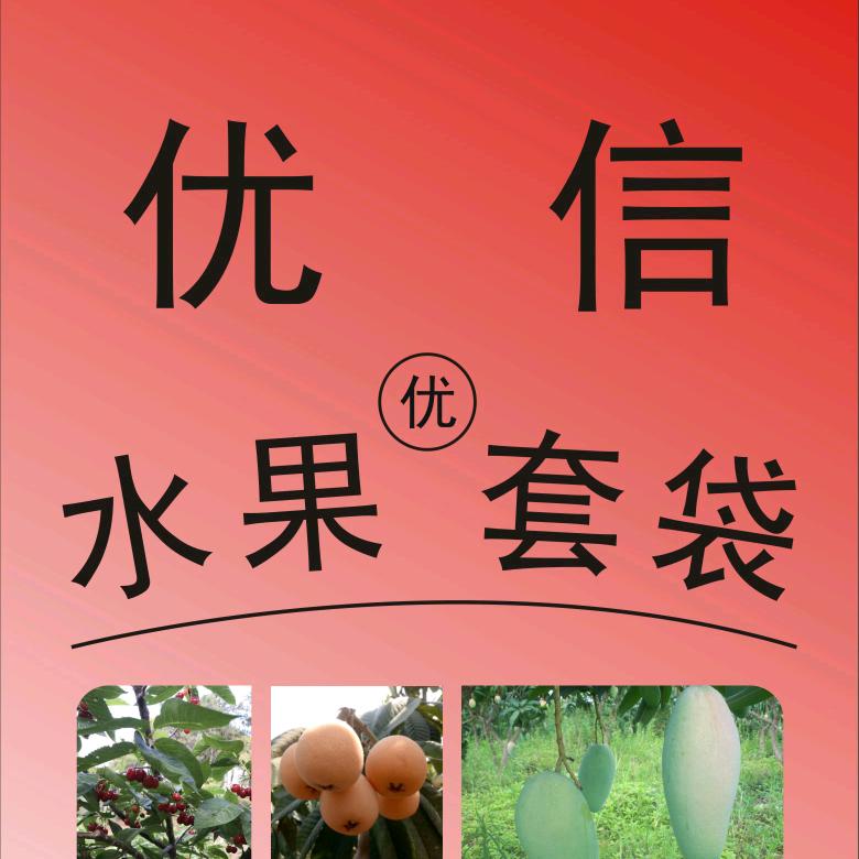 四川米易优信果袋包装
