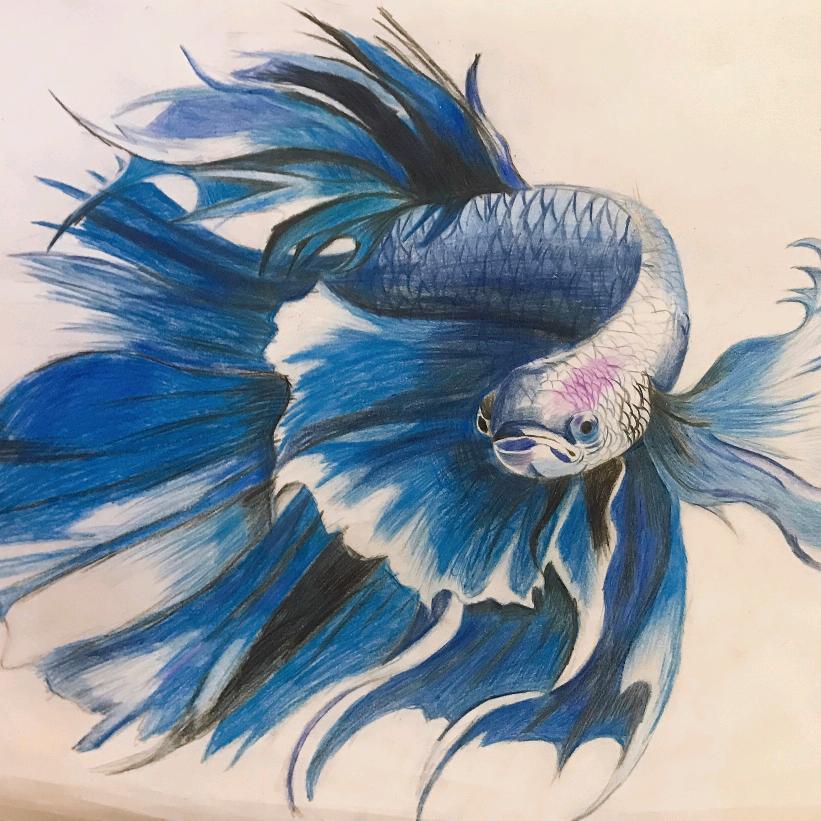 香瓜