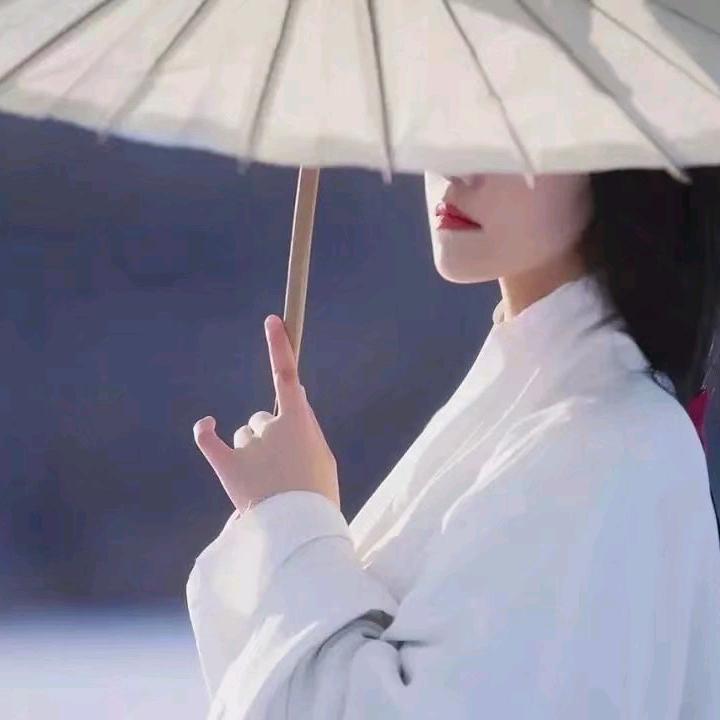 云畔雾隐花🌸