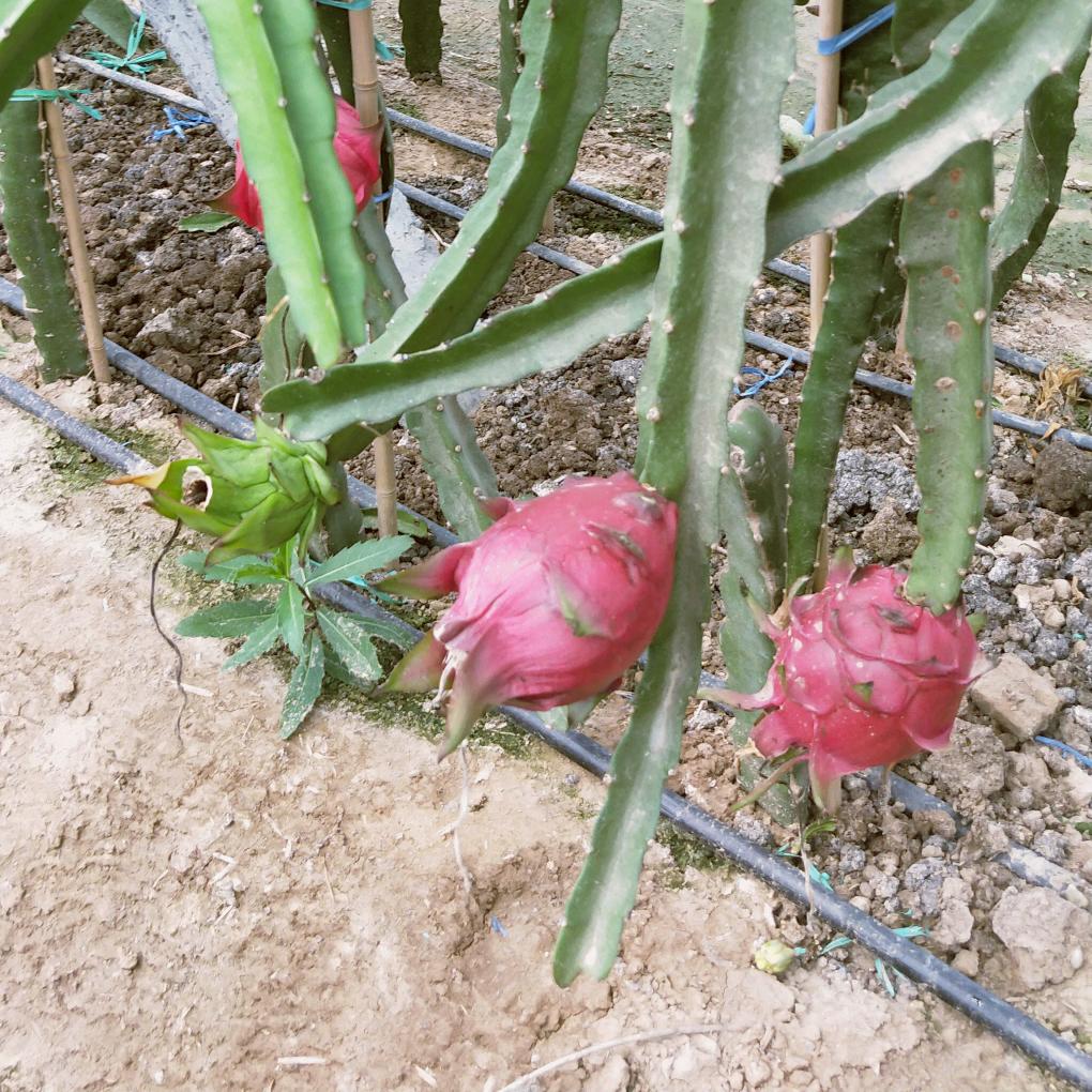 恒!硕!鑫!💞💞💞