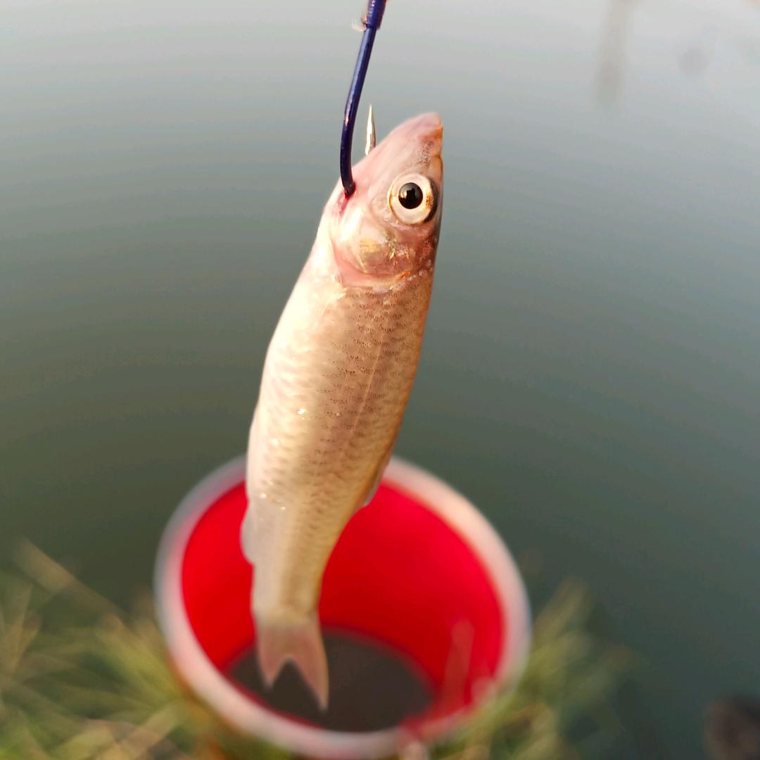 冻结，甘心