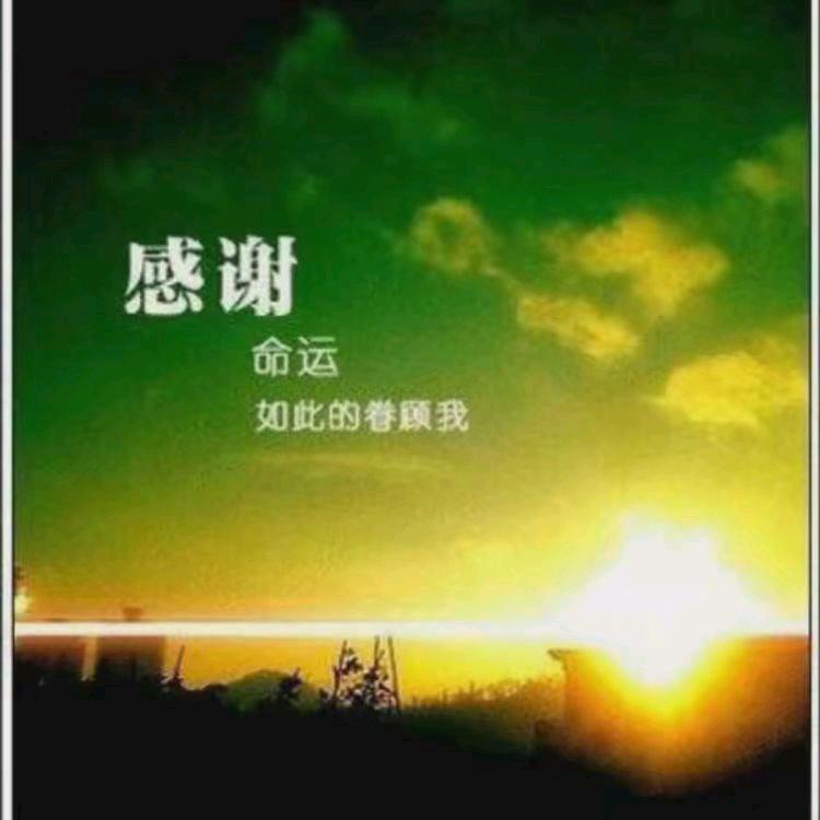 冇