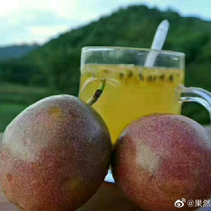 陈明运