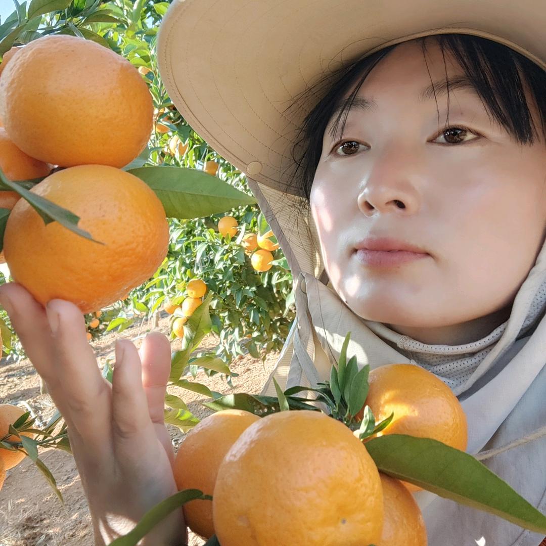 弥渡常宝种植园