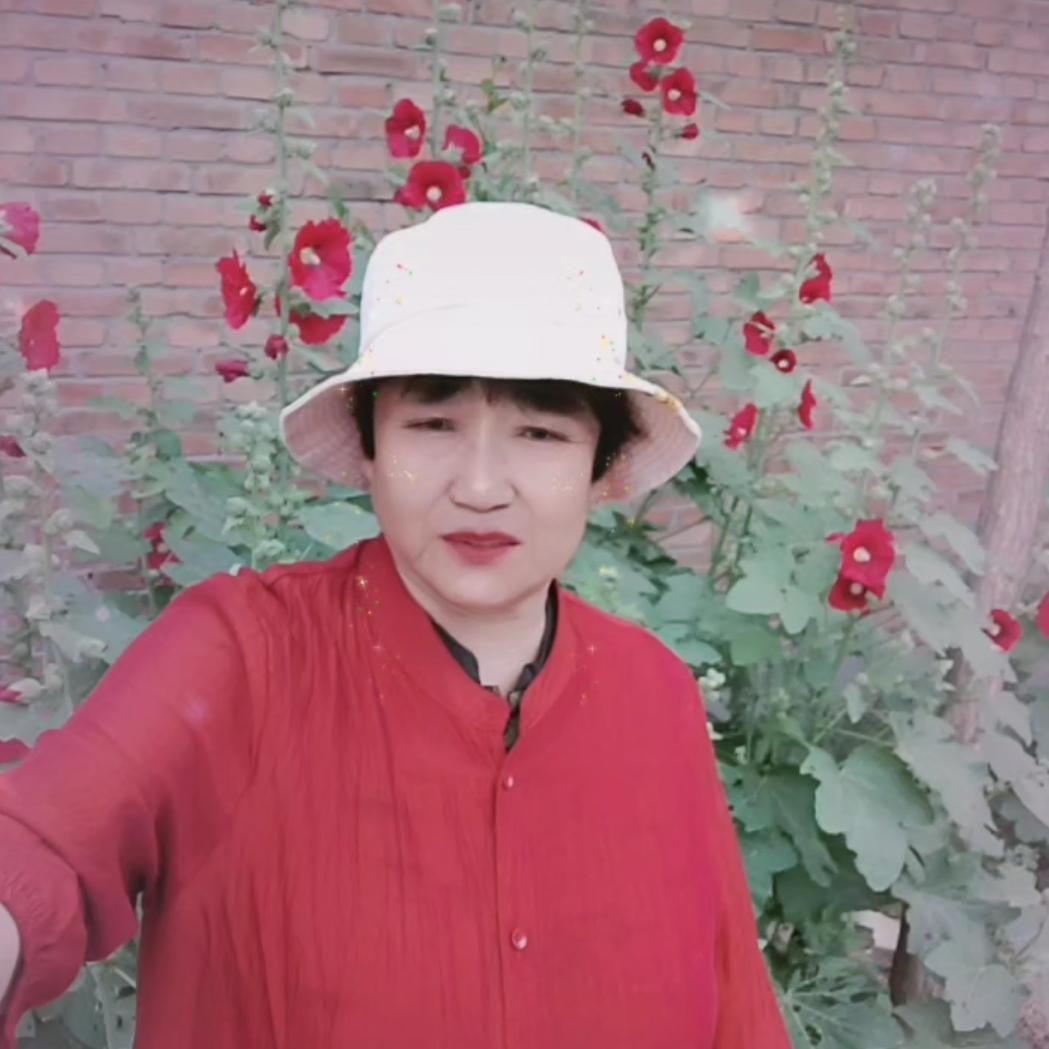 每天开心