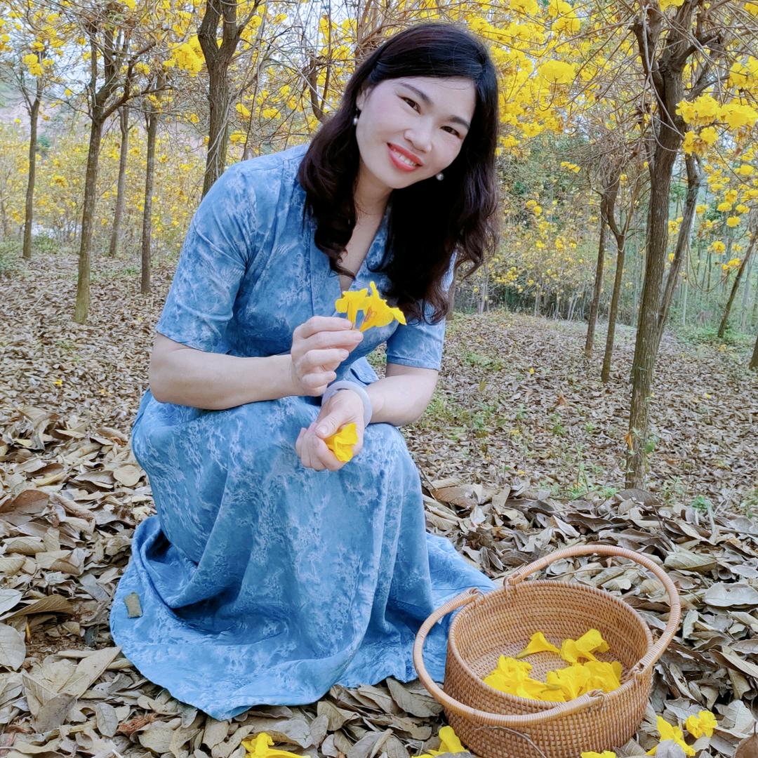 青春的旋律
