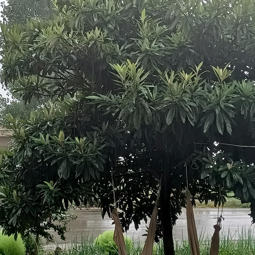 一路顺风