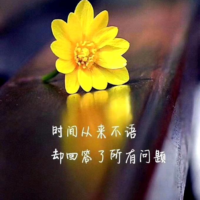 永闯天涯