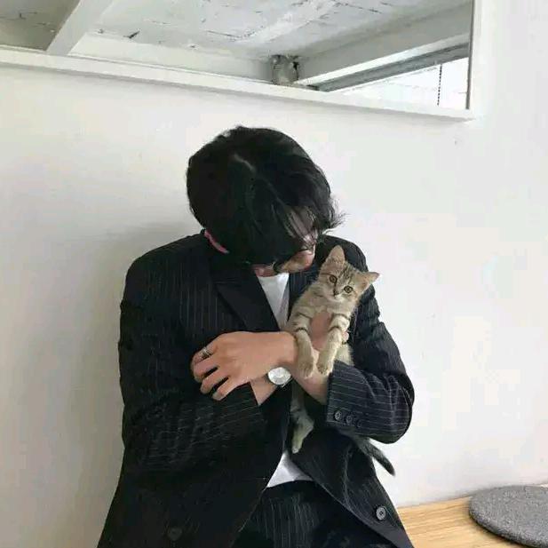 巷子与猫