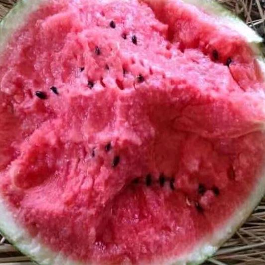 小邵瓜果蔬菜代收代发