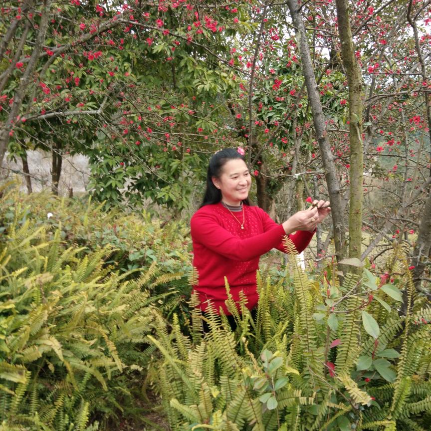 小谢